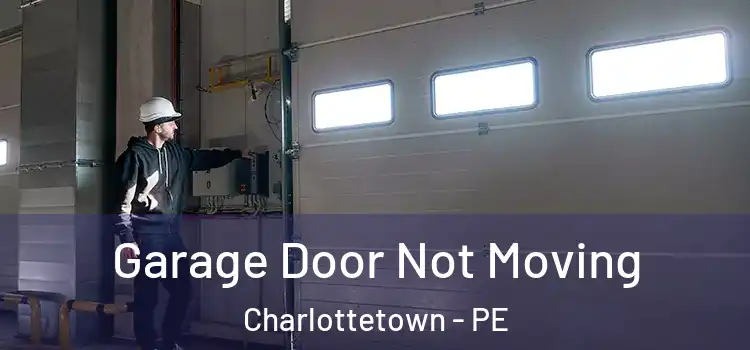  Garage Door Not Moving Charlottetown - PE