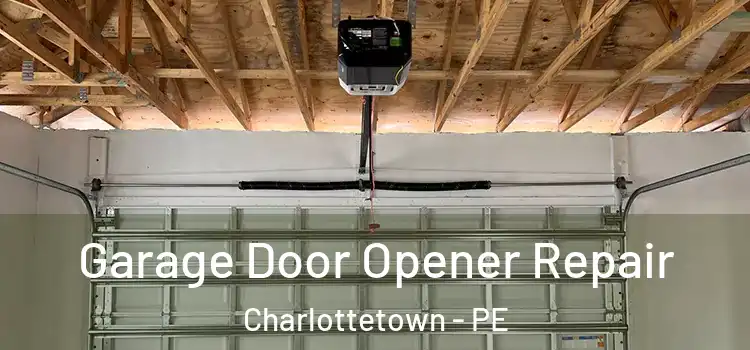  Garage Door Opener Repair Charlottetown - PE