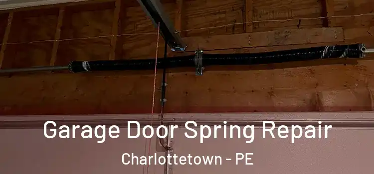  Garage Door Spring Repair Charlottetown - PE