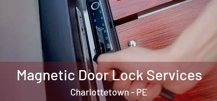  Magnetic Door Lock Services Charlottetown - PE